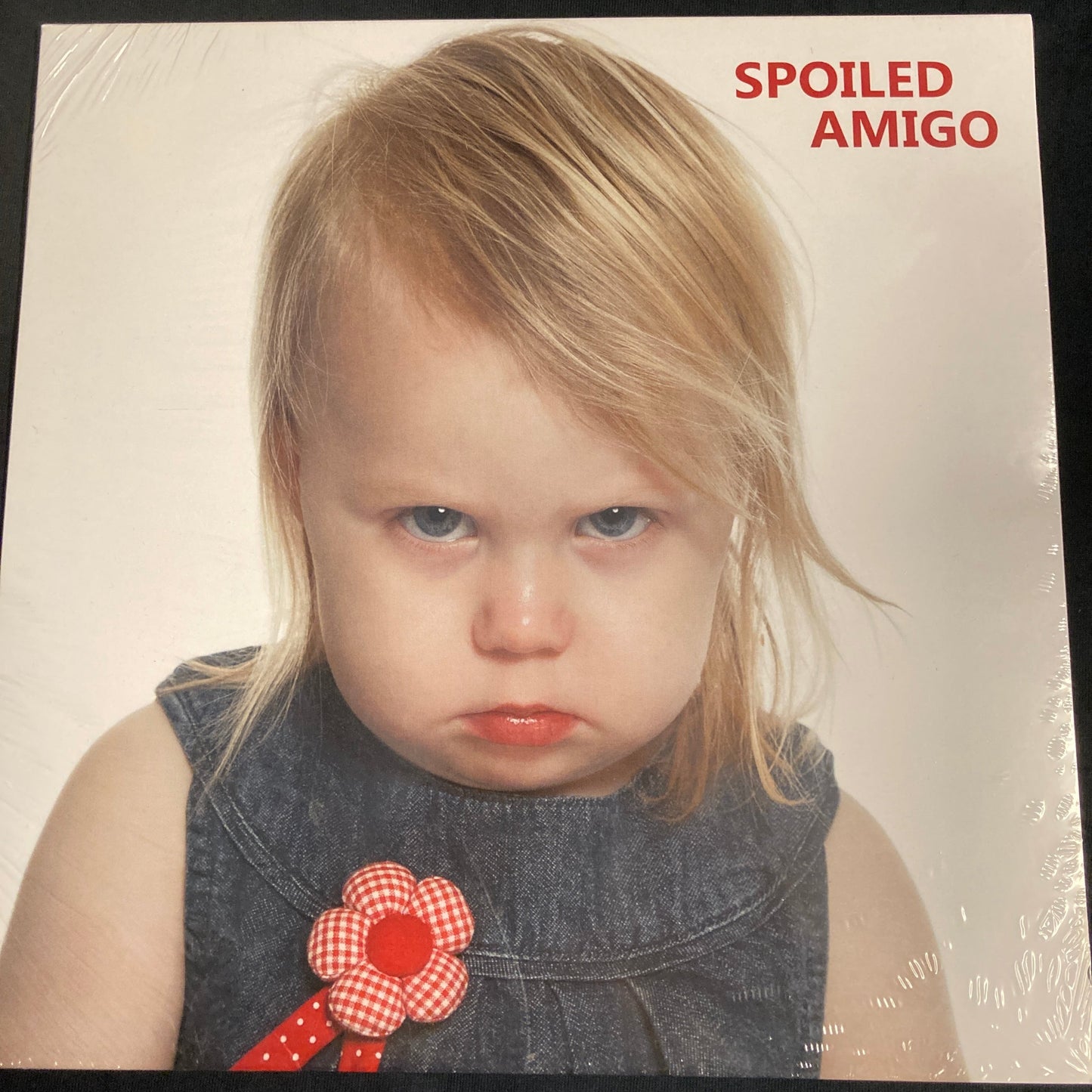 Spoiled Amigo - S/T LP