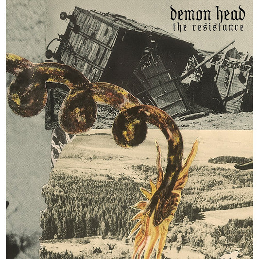 Demon Head - The Resistance 7"