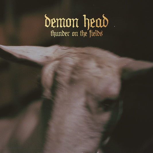 Demon Head - Thunder On The Fields CD