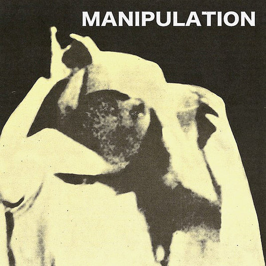Manipulation - Manipulation 12"