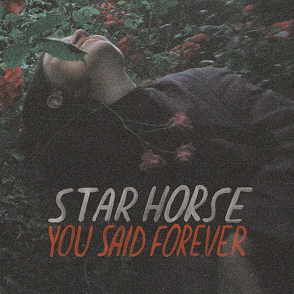 Star Horse - You Said Forever LP